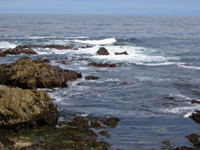 Rocky coast off of Cypress Point