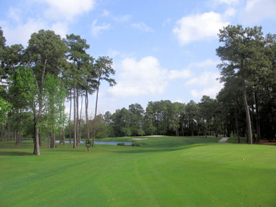 195 yard par three 5th hole at Lochinvar