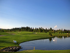 A forced carry over the water, and swans, is required at Whitetail's 16th