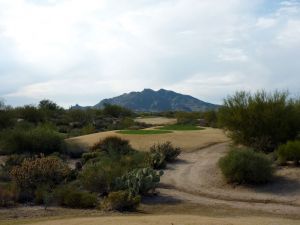 Desert Forest 14th