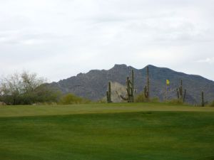 Desert Forest 4th Green