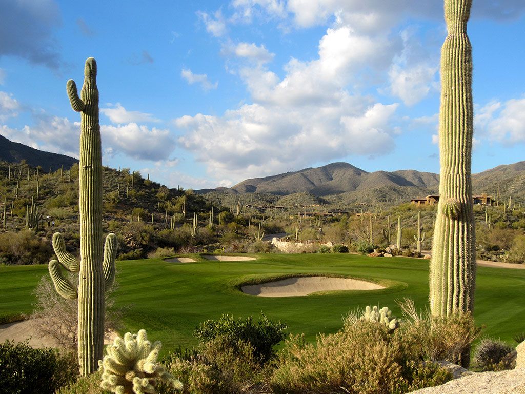 Desert Mountain (Chiricahua)