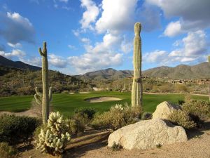 Desert Mountain (Chiricahua) 15th Green Cactus