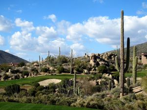 Desert Mountain (Chiricahua) 8th Cactus