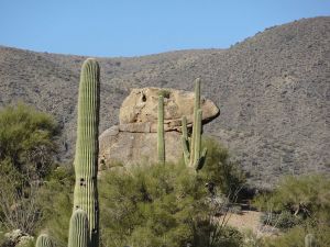 Desert Mountain (Geronimo) Jayhawk