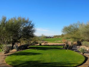 Phoenician (Desert) 7th