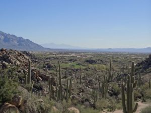 Stone Canyon View