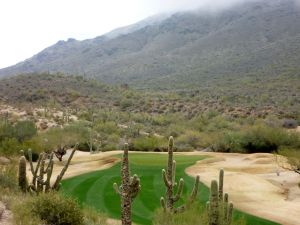 Troon CC 14th Cactus