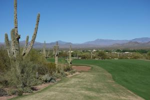 We Ko Pa (Saguaro) 4th Cactus