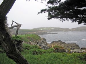 Cypress Point 16th Fog