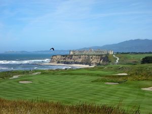 Half Moon Bay (Ocean) 16th Bird