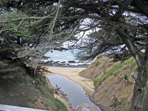 Half Moon Bay Beach 2015