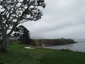 Pebble Beach 5th Tree Frame