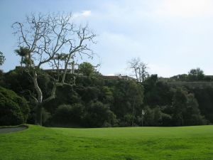 Riviera 12th Bogey's Tree