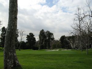 Riviera 16th Tree