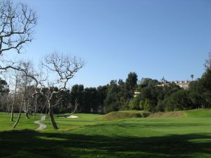 Riviera 5th Tree