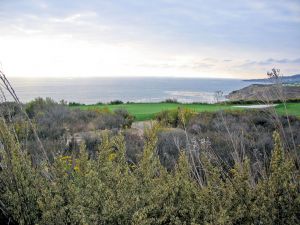 Trump National 13th Side Green