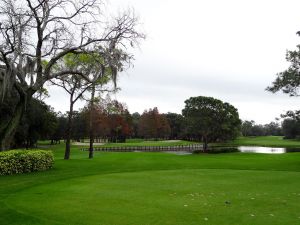 Innisbrook (Copperhead) 13th Tee