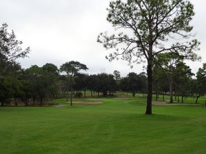 Innisbrook (Copperhead) 5th Tree