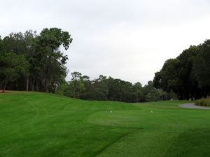 Innisbrook (Copperhead) 6th Tee