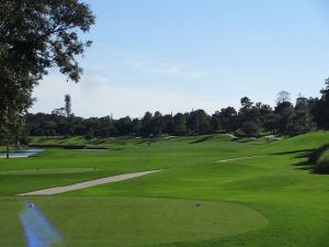 TPC Sawgrass (Valley) 16th