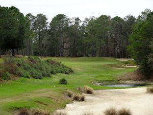 World Woods (Pine Barrens) 16th Forward