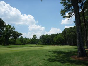 Atlanta Athletic Club (Riverside) 3rd Tree