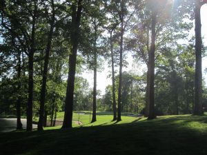 Atlanta CC 17th Trees