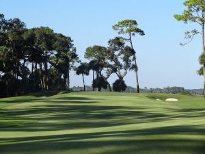 Ocean Forest 12th Fairway