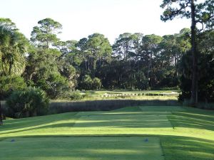 Ocean Forest 15th Tee