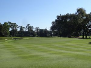 Ocean Forest 7th Green