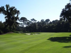 Ocean Forest 8th Fairway