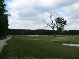 River Club 15th Tree