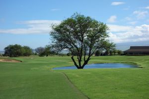 Dunes At Maui Lani 18th Tree