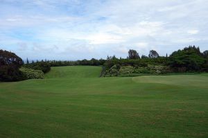 Kapalua (Plantation) 15th Back