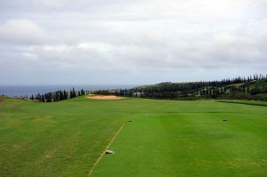 Kapalua (Plantation) 6th