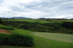 Kapalua (Plantation) 8th Back