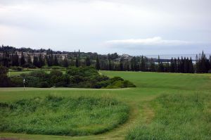 Kapalua (Plantation) 9th Back