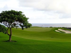 Kukuiula 15th Tree