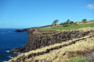 Manele 12th Brush