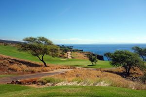 Manele 12th Reverse