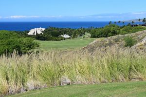 Mauna Kea 18th Fescue