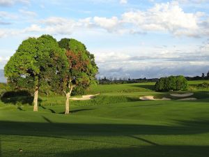 Princeville (Prince) 10th Fairway Trees