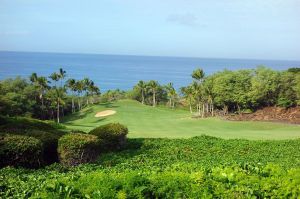 Wailea (Emerald) 1st Brush