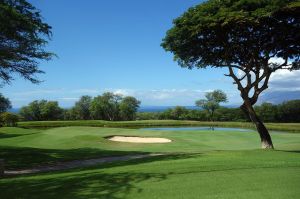 Wailea (Gold) 14th Green