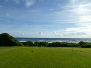 Wailua 3rd Tee Back