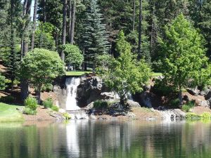 Avondale 1st Waterfall