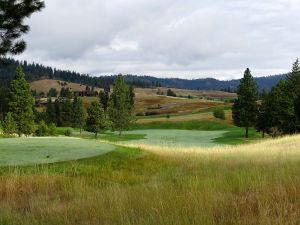 Black Rock 1st Fescue 2013