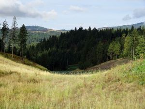 Black Rock 3rd Fescue 2013