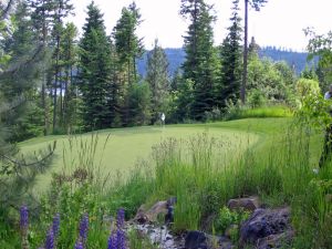 Black Rock 3rd Green